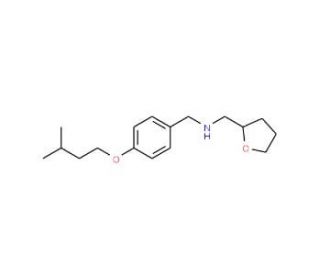 [4-(Isopentyloxy)phenyl]-N-(tetrahydro-2-furanylmethyl)methanamine - chemical structure image 