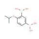 4-Isopropoxybenzene-1,3-bisboronic acid (CAS 850568-40-0) - chemical structure image