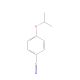 4-isopropoxybenzonitrile - chemical structure image