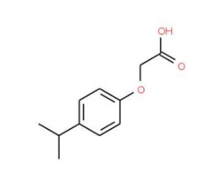 4-Isopropylphenoxyacetic acid (CAS 1643-16-9) - chemical structure image