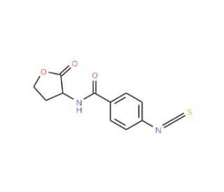 4-Isothiocyanatobenzoyl-dl-homoserine lactone (CAS 58394-58-4) - chemical structure image