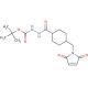 4-(Maleimidomethyl)cyclohexane-1-carbonyl-1-(tert-butyl)carbazate 的分子结构, CAS编号: 887406-71-5 4-(Maleimidomethyl)cyclohexane-1-carbonyl-1-(tert-butyl)carbazate (CAS 887406-71-5) - chemical structure image