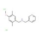(4-Methoxy-2,5-dimethylbenzyl)-(pyridin-3-ylmethyl)amine dihydrochloride - chemical structure image