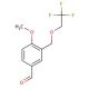 4-Methoxy-3-[(2,2,2-trifluoroethoxy)methyl]-benzaldehyde - chemical structure image