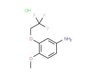4-methoxy-3-(2,2,2-trifluoroethoxy)aniline hydrochloride - chemical structure image