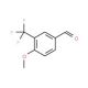 4-Methoxy-3-(trifluoromethyl)benzaldehyde (CAS 50823-87-5) - chemical structure image