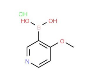 4-Methoxypyridine-3-boronic acid hydrochloride (CAS 874959-97-4) - chemical structure image