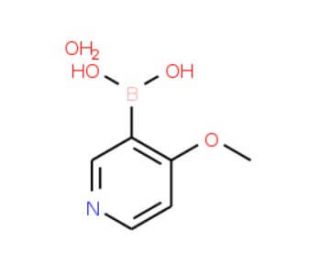 4-Methoxypyridine-3-boronic acid monohydrate (CAS 874959-97-4) - chemical structure image