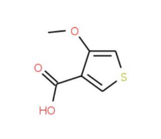 4-Methoxythiophene-3-carboxylic acid (CAS 71050-40-3) - chemical structure image