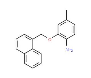 4-Methyl-2-(1-naphthylmethoxy)aniline - chemical structure image