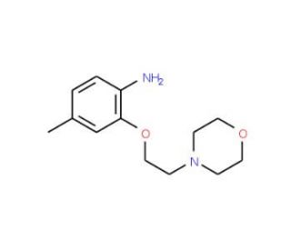 4-Methyl-2-[2-(4-morpholinyl)ethoxy]phenylamine - chemical structure image