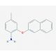 4-Methyl-2-(2-naphthyloxy)aniline - chemical structure image