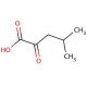 4-Methyl-2-oxovaleric acid (CAS 816-66-0) - chemical structure image