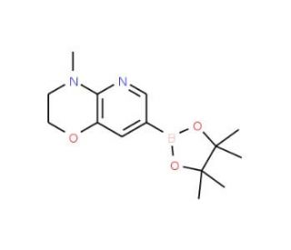 4-Methyl-3,4-dihydro-2H-pyrido[3,2-b][1,4]oxazine-7-boronic acid, pinacol ester (CAS 910037-15-9) - chemical structure image