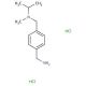 (4-{[methyl(propan-2-yl)amino]methyl}phenyl)methanamine dihydrochloride - chemical structure image