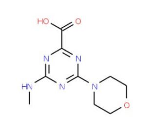 4-Methylamino-6-morpholin-4-yl-[1,3,5]triazine-2-carboxylic acid (CAS 585557-38-6) - chemical structure image
