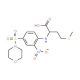 4-Methylsulfanyl-2-[4-(morpholine-4-sulfonyl)-2-nitro-phenylamino]-butyric acid (CAS 1008673-55-9) - chemical structure image