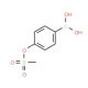 4-(Methylsulfonyloxy)phenylboronic acid (CAS 957035-04-0) - chemical structure image