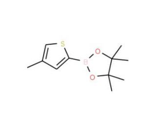 4-Methylthiophene-2-boronic acid pinacol ester (CAS 635305-48-5) - chemical structure image