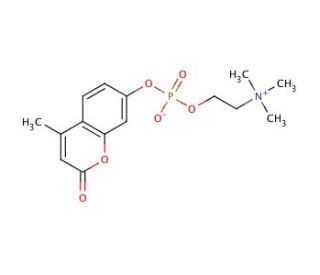4-Methylumbelliferyl Phosphocholine (CAS 97055-84-0) - chemical structure image