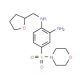 4-(Morpholine-4-sulfonyl)-N*1*-(tetrahydro-furan-2-ylmethyl)-benzene-1,2-diamine - chemical structure image