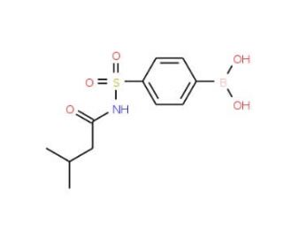 4-(N-(3-Methylbutanoyl)sulfamoyl)phenylboronic acid (CAS 957120-81-9) - chemical structure image