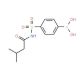 4-(N-(3-Methylbutanoyl)sulfamoyl)phenylboronic acid (CAS 957120-81-9) - chemical structure image