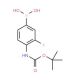 4-N-Boc-amino-3-fluorophenylboronic acid (CAS 218301-87-2) - chemical structure image