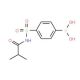 4-(N-Isobutyrylsulfamoyl)phenylboronic acid (CAS 957120-73-9) - chemical structure image
