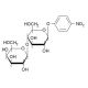 4-Nitrophenyl β-D-lactopyranoside (CAS 4419-94-7) - chemical structure image