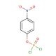 4-Nitrophenyl phosphorodichloridate 的分子结构, CAS编号: 777-52-6 4-Nitrophenyl phosphorodichloridate (CAS 777-52-6) - chemical structure image