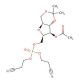 4-O-Acetyl-2,5-anhydro-1,3-O-isopropylidene-6-[bis(2-cyanoethyl)phosphoryl]-D-glucitol (CAS 1041021-85-5) - chemical structur