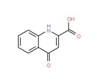 4-oxo-1,4-dihydroquinoline-2-carboxylic acid (CAS 13593-94-7) - chemical structure image
