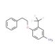 4-(Phenethyloxy)-3-(trifluoromethyl)aniline - chemical structure image