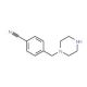 4-(piperazin-1-ylmethyl)benzonitrile (CAS 89292-70-6) - chemical structure image