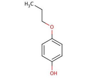4-Propoxyphenol (CAS 18979-50-5) - chemical structure image