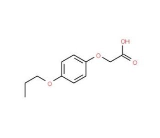 (4-propoxyphenoxy)acetic acid (CAS 713509-19-4) - chemical structure image