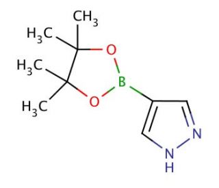 4-Pyrazoleboronic acid pinacol ester (CAS 269410-08-4) - chemical structure image