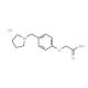 (4-Pyrrolidin-1-ylmethyl-phenoxy)-acetic acid hydrochloride - chemical structure image