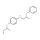 4-(sec-Butoxy)-N-(2-phenoxypropyl)aniline - chemical structure image