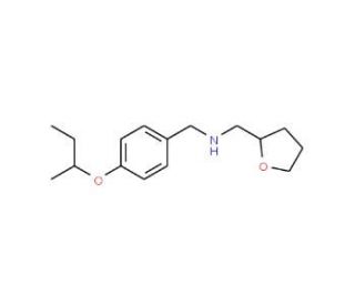 [4-(sec-Butoxy)phenyl]-N-(tetrahydro-2-furanylmethyl)methanamine - chemical structure image