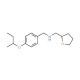 [4-(sec-Butoxy)phenyl]-N-(tetrahydro-2-furanylmethyl)methanamine - chemical structure image
