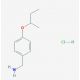 [4-(sec-Butoxy)phenyl]methanamine hydrochloride - chemical structure image