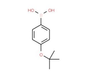 4-T-Butoxyphenylboronic acid (CAS 176672-49-4) - chemical structure image