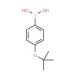 4-T-Butoxyphenylboronic acid (CAS 176672-49-4) - chemical structure image