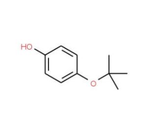 4-(tert-Butoxy)phenol (CAS 2460-87-9) - chemical structure image