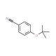 4-tert-Butoxybenzonitrile (CAS 185259-36-3) - chemical structure image