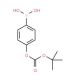 4-(tert-Butoxycarboxy)benzeneboronic acid (CAS 380430-70-6) - chemical structure image