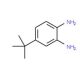 4-(tert-Butyl)-1,2-diaminobenzene (CAS 68176-57-8) - chemical structure image