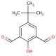4-tert-Butyl-2,6-diformylphenol (CAS 84501-28-0) - chemical structure image